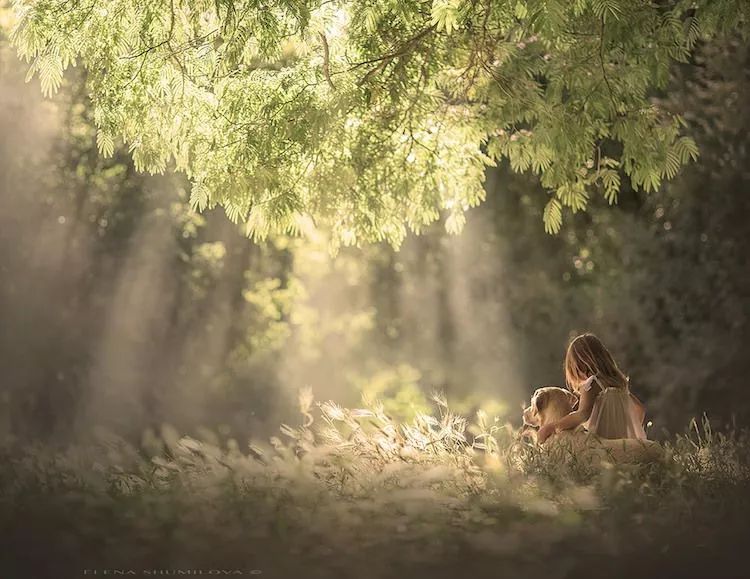 作品欣赏|摄影师elena shumilova镜头下的孩子与农场_照片