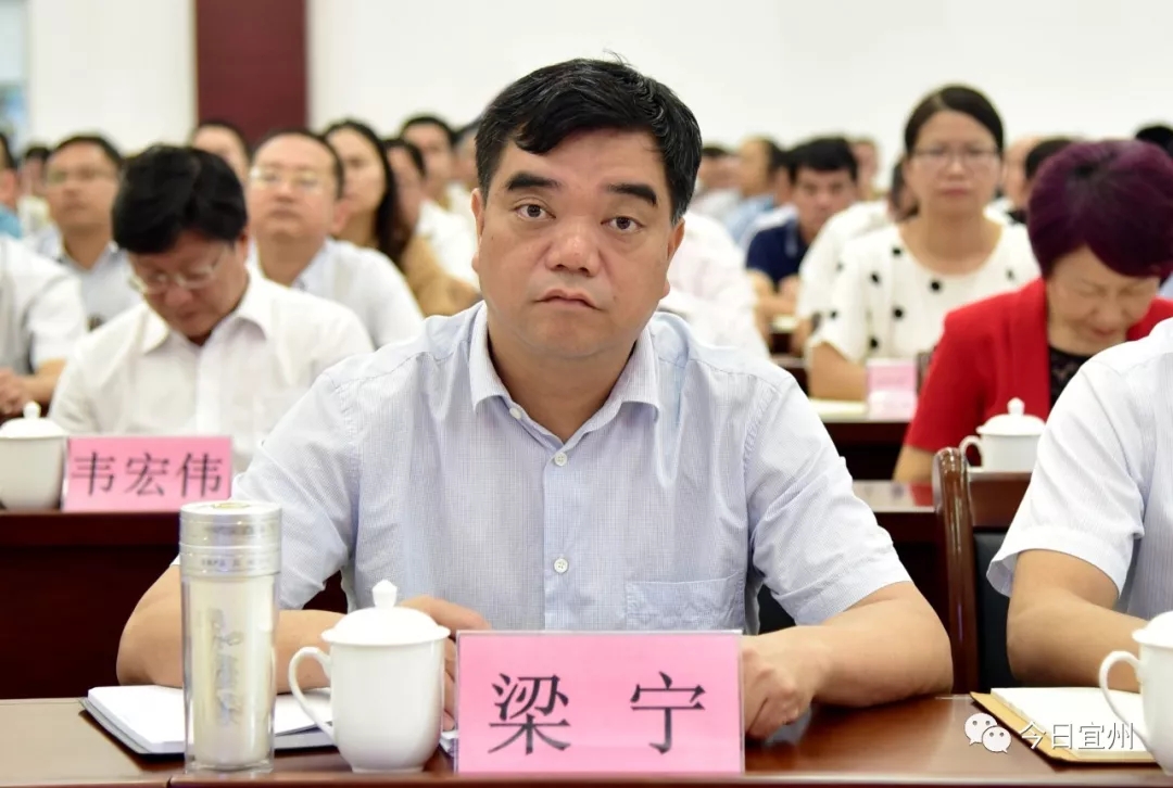 区委副书记,区长梁宁在宜州分会场参加会议.