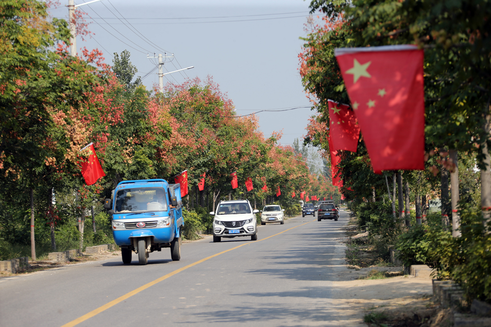 喜庆国庆节,大荔县苏村镇各村悬挂国旗和宣传标语,不仅扮靓了沙苑的