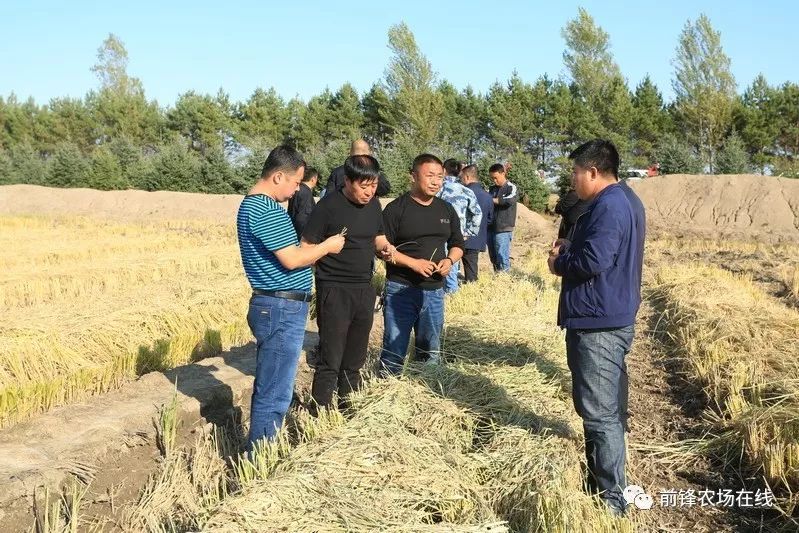 前锋农场全力冲刺推进秋收作业