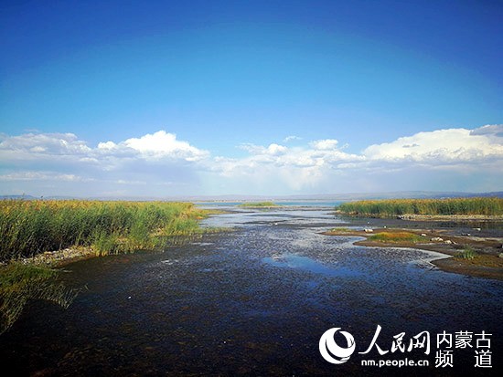 岱海湖旧貌换新颜