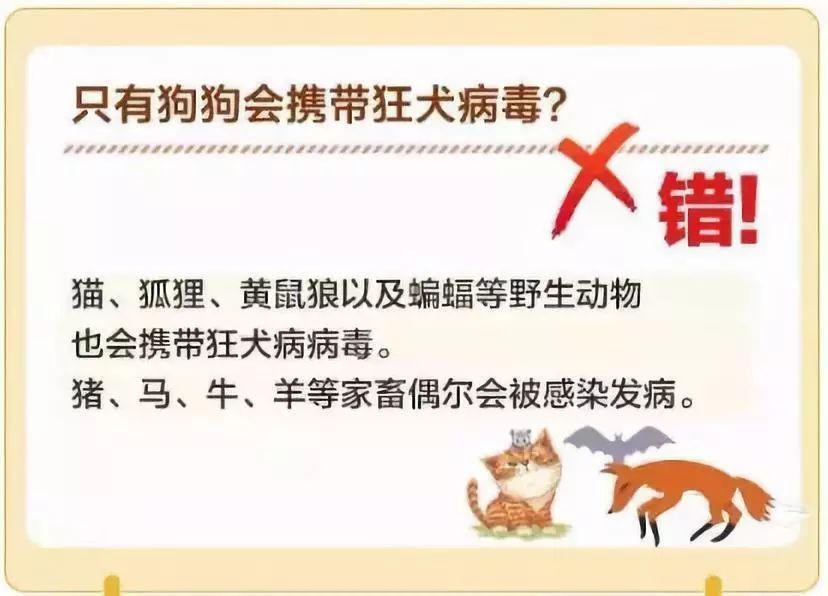 2,牛,羊,马,猪等家畜和兔,鼠等啮齿动物咬伤风险低;1,犬是我国狂犬病