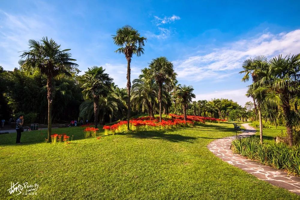 2019上海植物園秋季花展花團錦簇以最美姿態喜迎中華人民共和國成立70