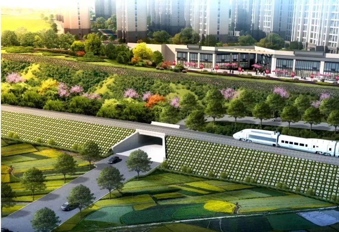 滨海新城建设潮袭来!商业综合体,酒店,985大学