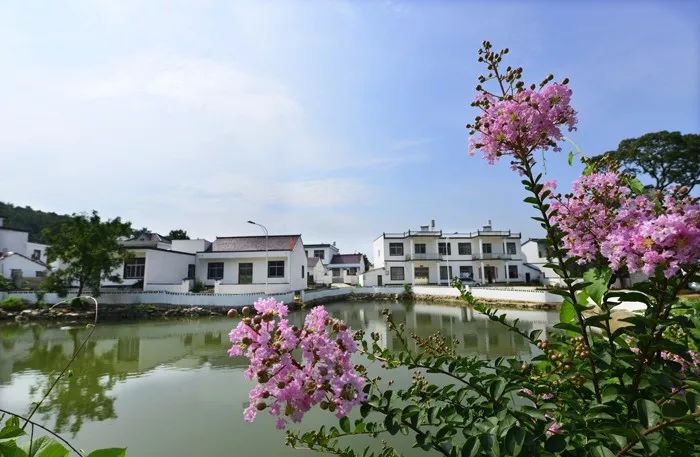 宿松这些地方上榜美丽乡村示范村