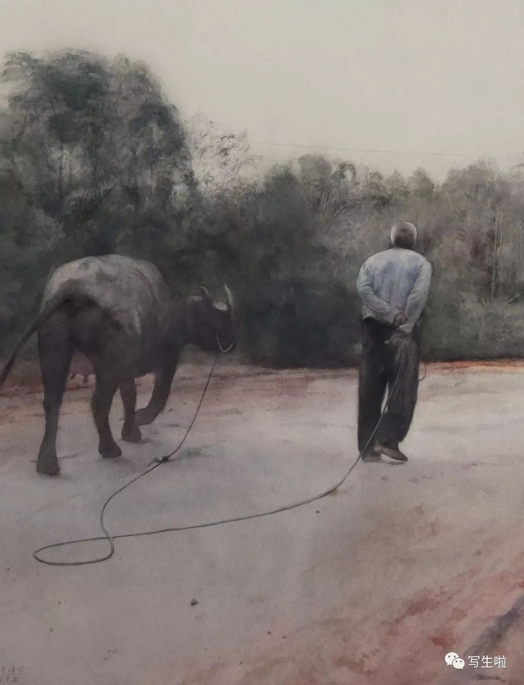 写生啦我的风儿我的歌张冬峰绘画艺术三十年附油画水彩作品集