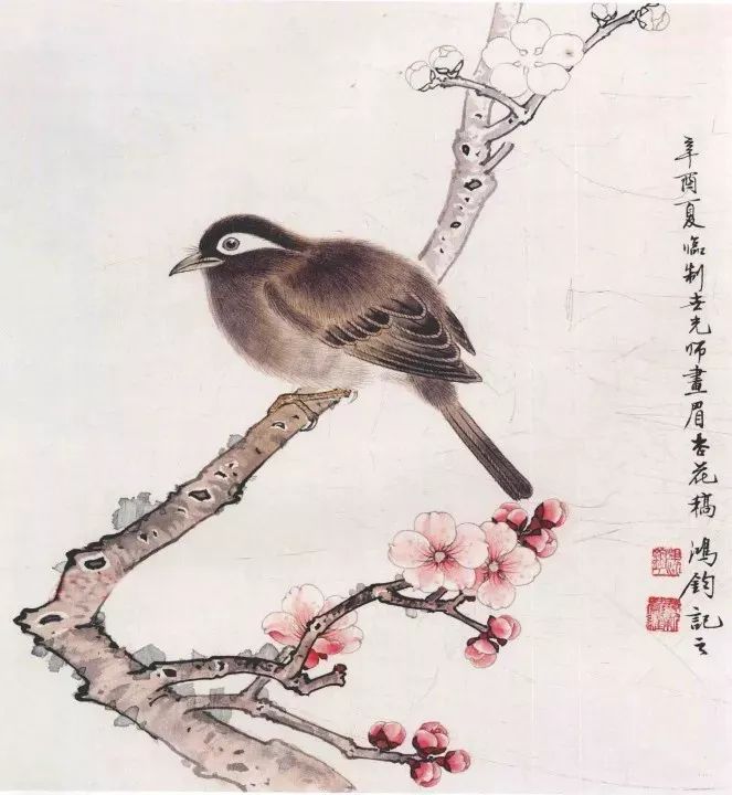 传统工笔禽鸟画法真详细