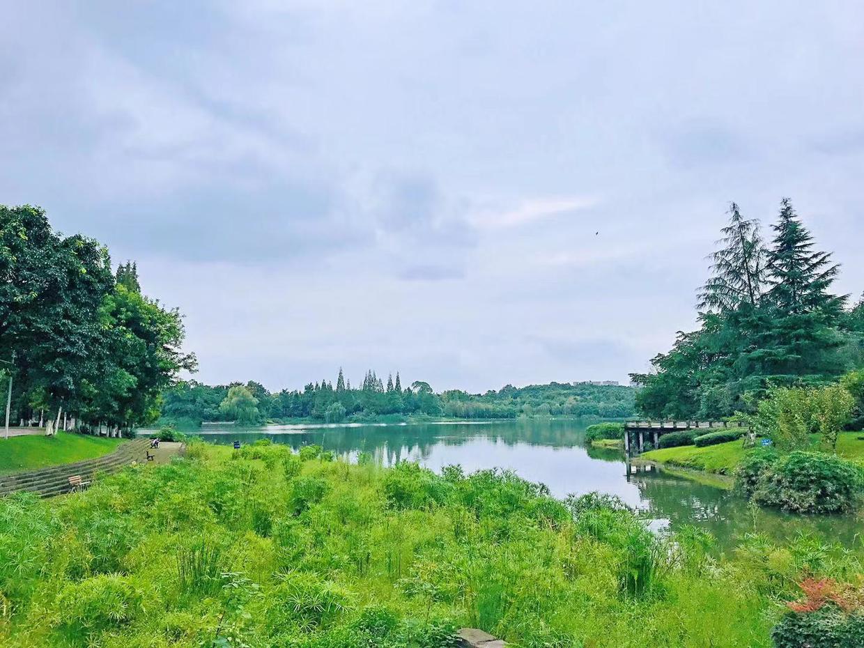 四川大学江安校区,明远湖边的青春记忆