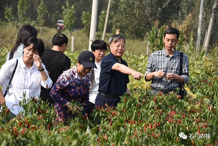 无极县农业局长图片