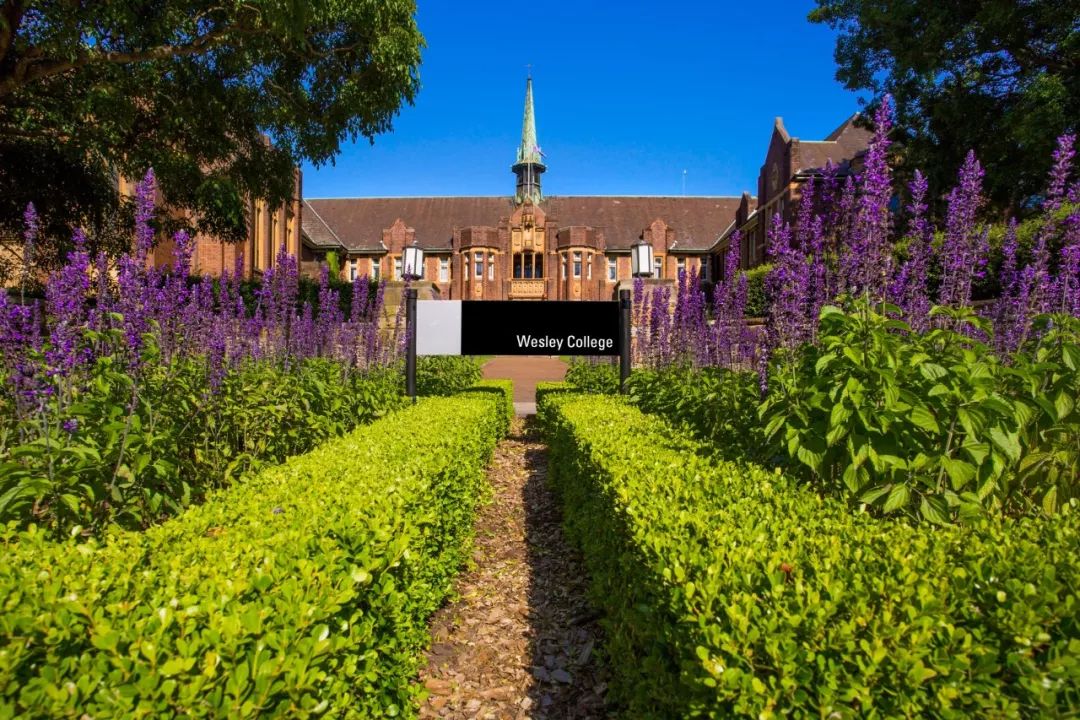 免考政策很多这几所mpacc常春藤院校了解一下