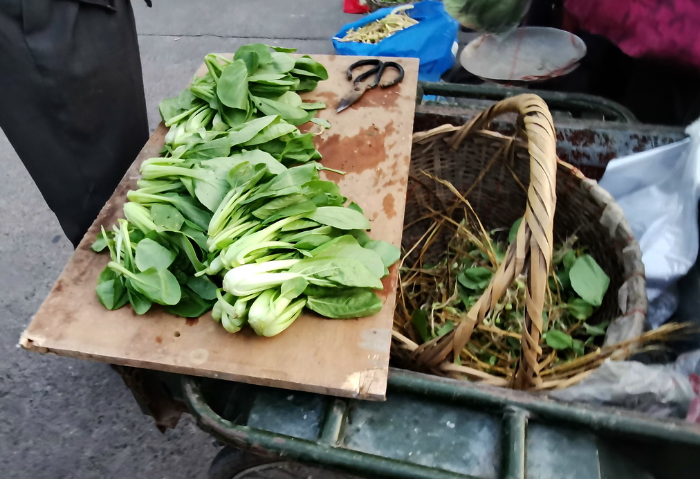 早市遇七十五岁奶奶卖菜,一杆秤用25年成古董,种3分菜田天天卖