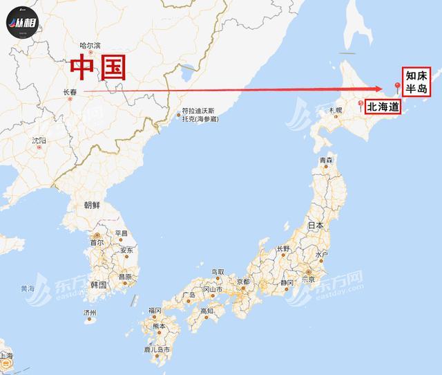 跨越1000公里到日本,气球上的字亮了_中国