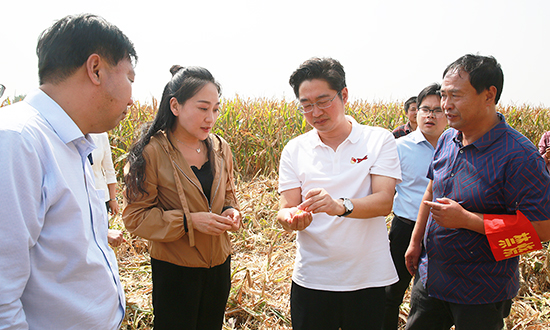 李亦博调研"三秋"生产和秸秆禁烧工作