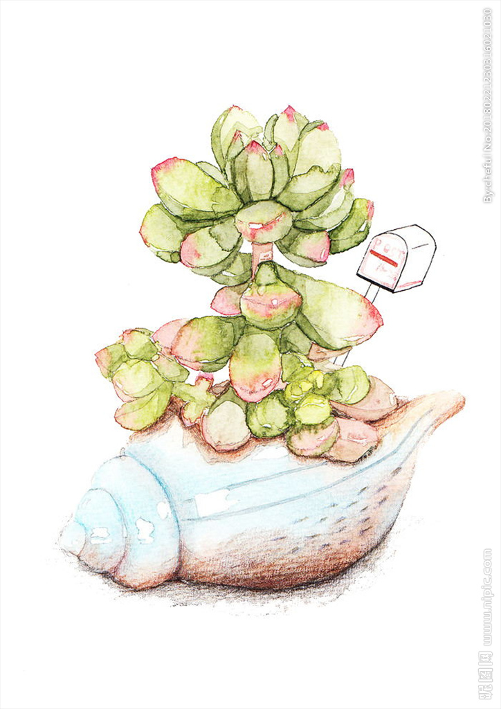 9月30日(星期一)社会百态,午间新闻报道