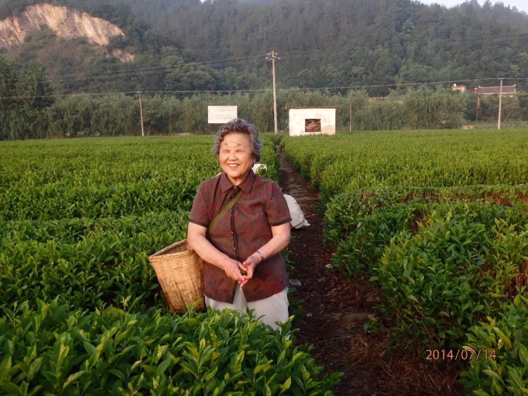 张淑珍荣获陕西省最美劳动者称号