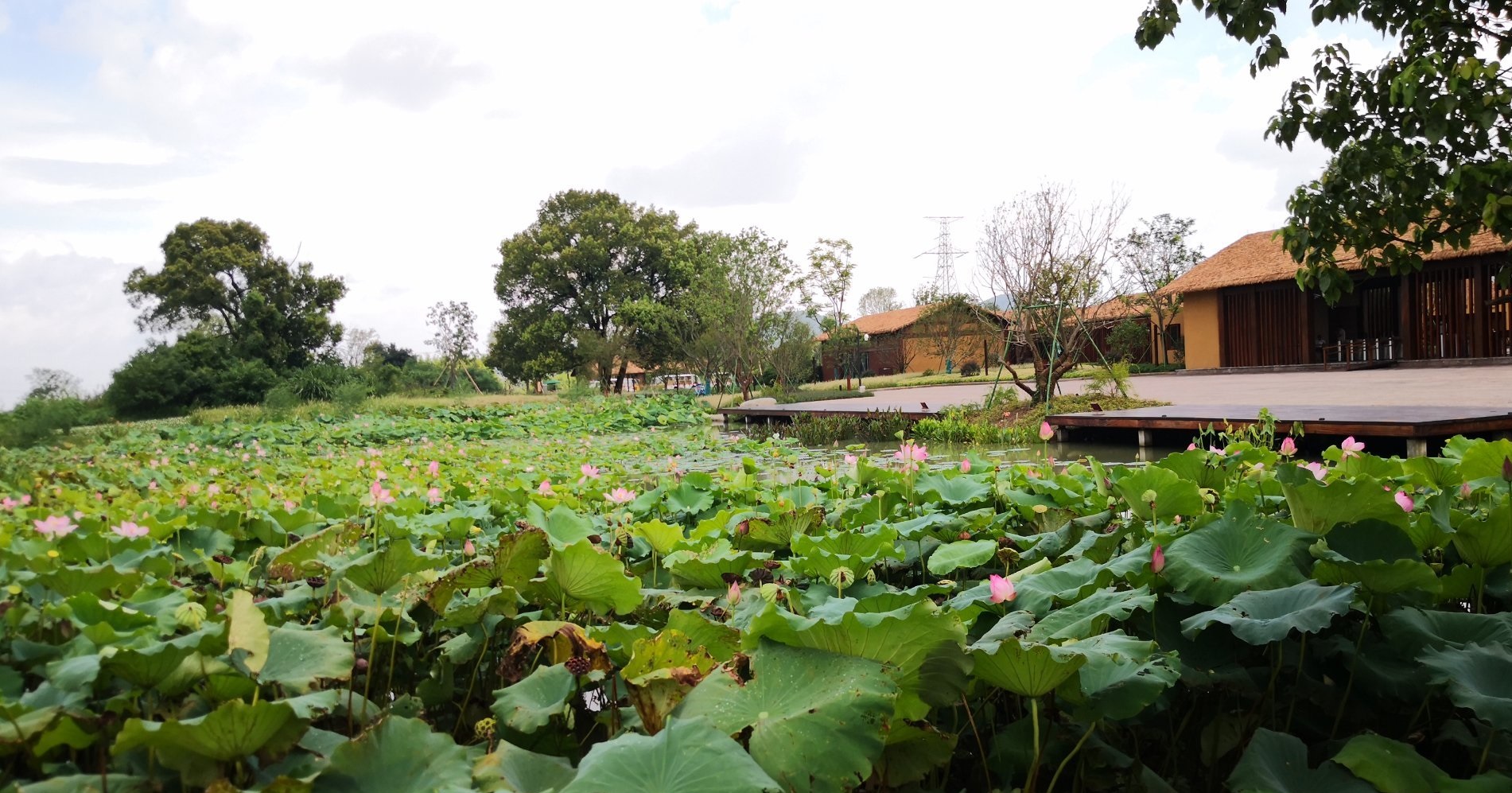 不懂其歷史很難看得懂的景點之良渚古城遺址公園-非物質文化遺產