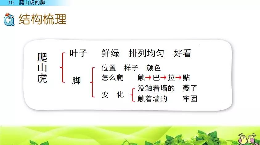 部编版四年级语文上册第10课《爬山虎的脚》图文讲解