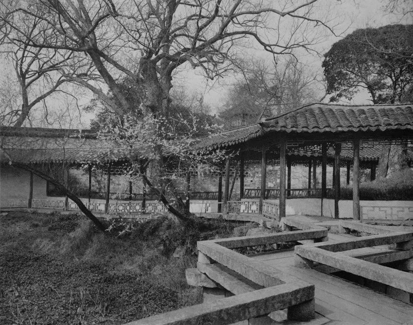 每一道回廊苏州园林是小而雅集大成者观前地区旧貌很多中华老字号从
