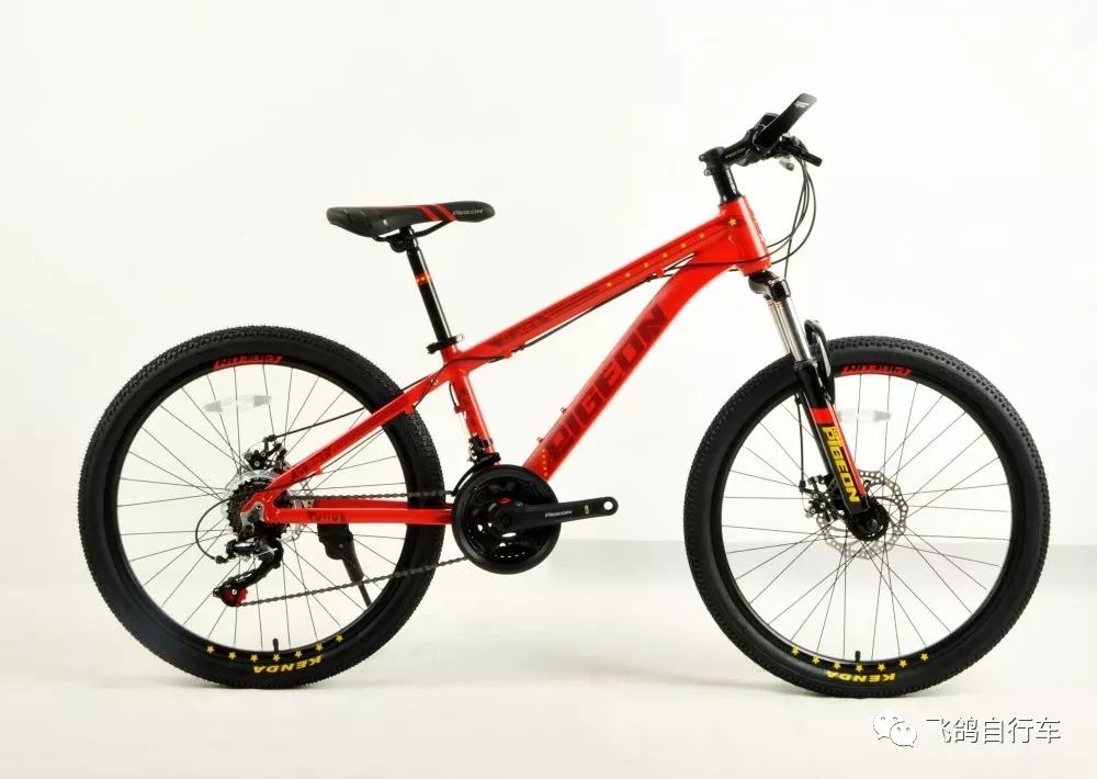 在这大庆之际盛世华诞飞鸽品牌推出辉煌70纪念版山地车