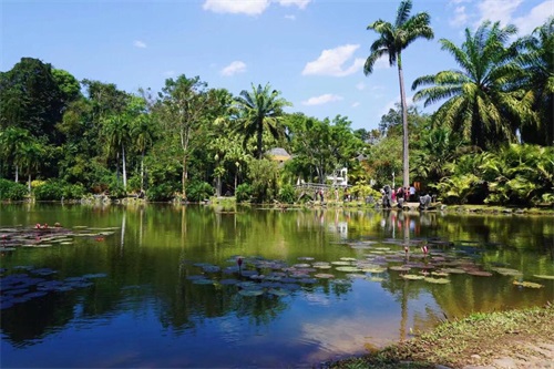 带你打卡热带雨林西双版纳top10必去景点