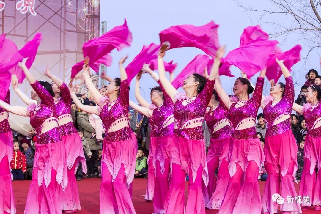 槐荫你为何如此美丽