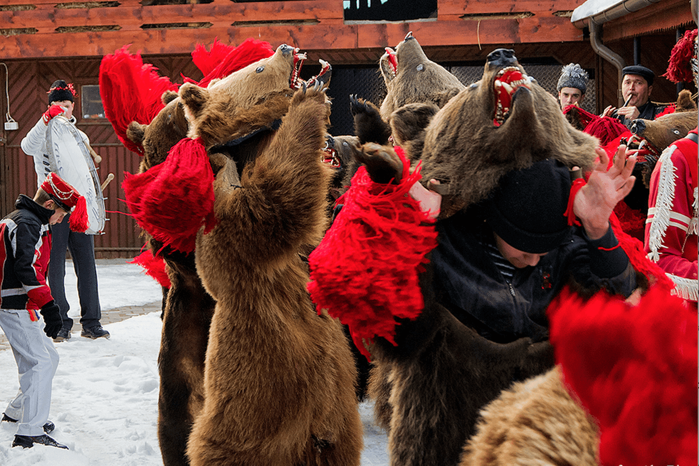 同样是传统熊舞为什么国外的年轻人愿意跳