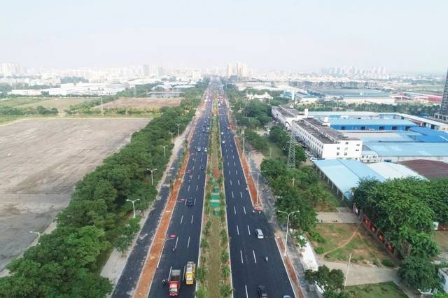 国庆献礼海口市椰海大道顺利通车
