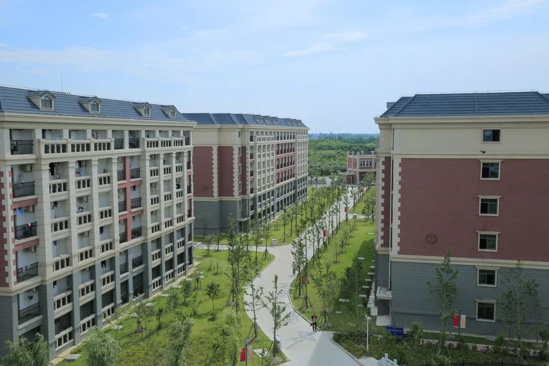 第1457期我与祖国共奋进廿六春秋中侨青年在路上