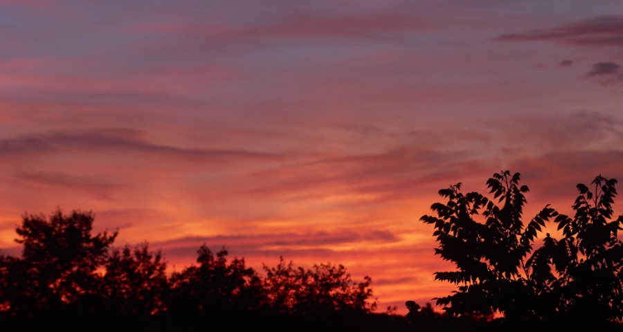 在世界能为中国代言的家电产业：没有夕阳西下，而是朝阳正红！-家电圈官网