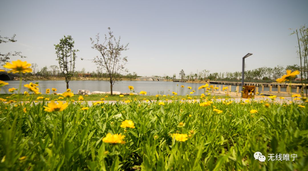 壮丽70年睢宁新地标睢宁公园