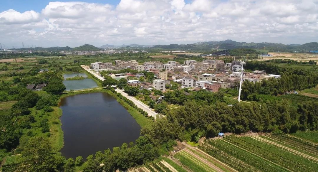 金浦这个社区上榜快来为金浦打call吧