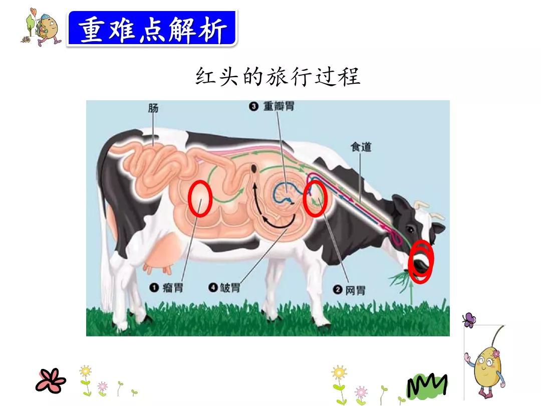 摔( )蹭( ) 哀( )贈( ) 衷( )融( )隔( )二,給下面的多音字組詞