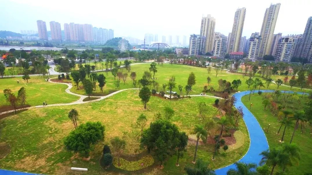 湖南草皮价格