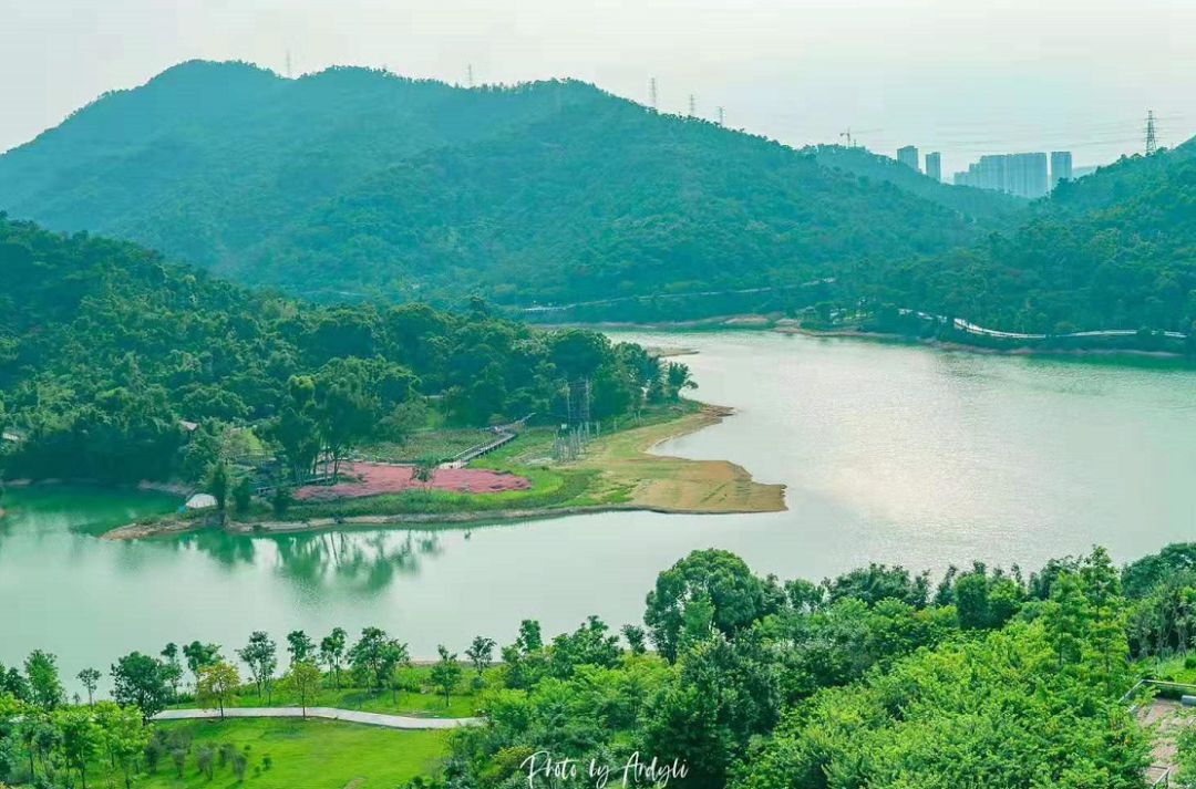 金钟湖公园昨天起试开放一大早停车场爆满园方提醒