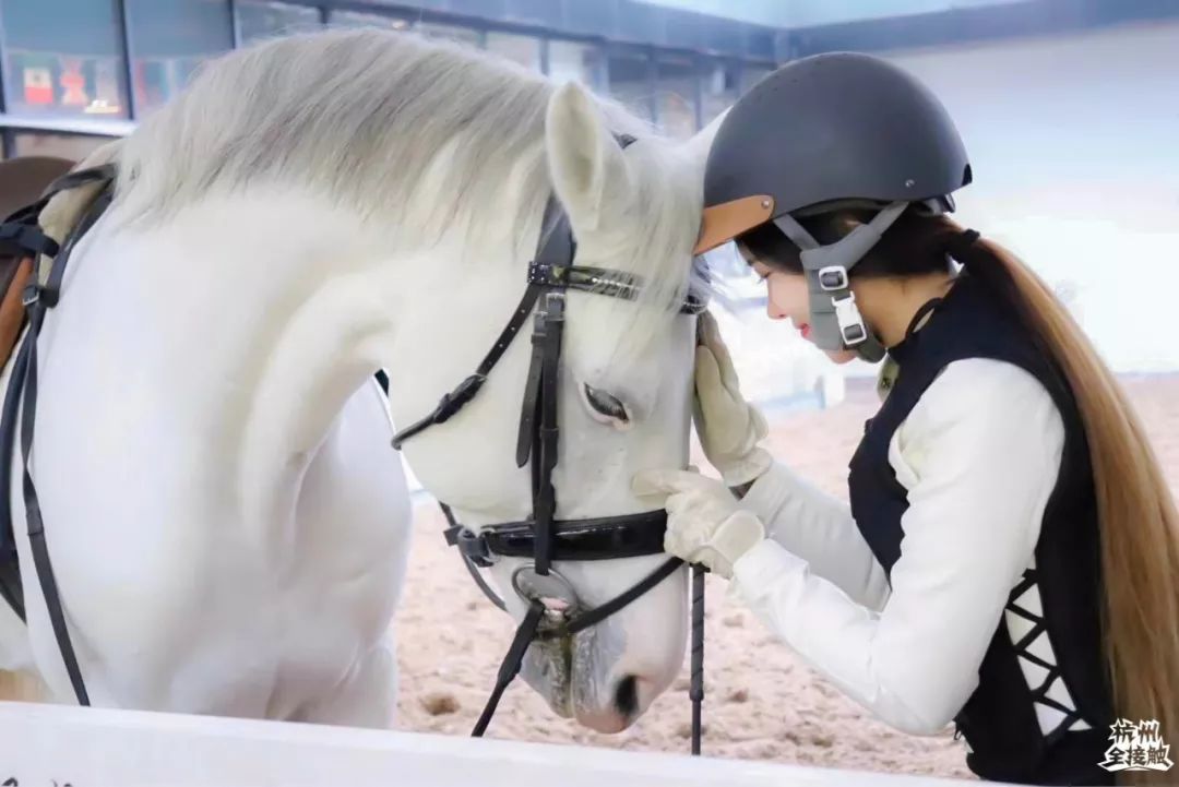 2折杭州800㎡的室内骑马场来了399元抢英式马术体验课节假日不涨价