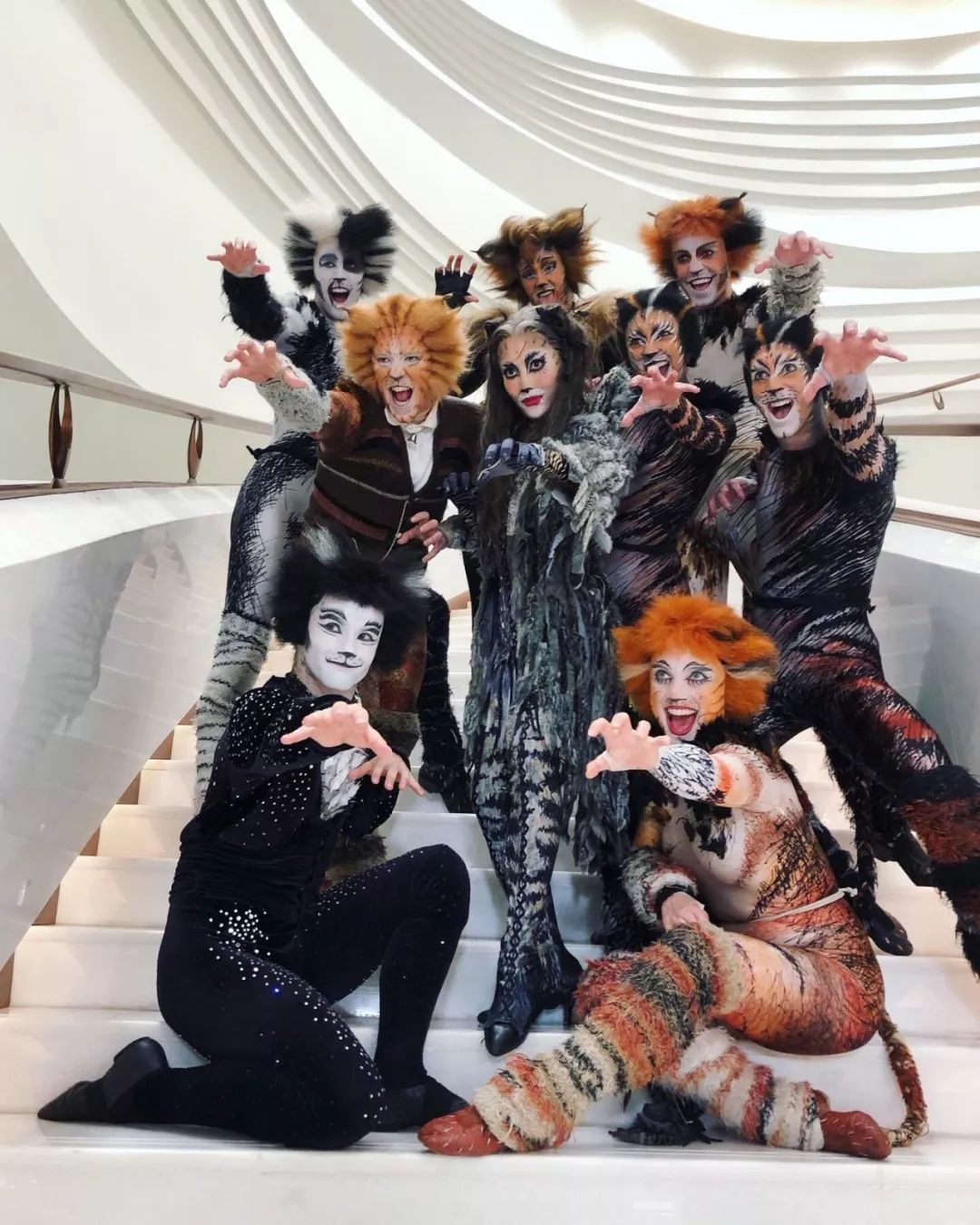 一生必看的时代典藏,音乐剧《猫》cats 节后广州开演 | 赠票
