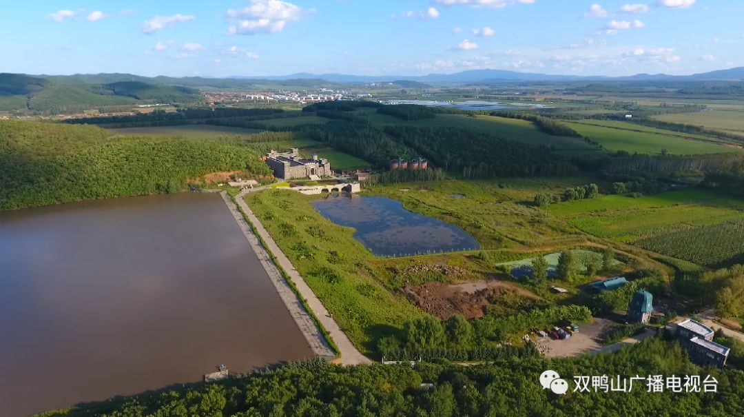 从地下黑色经济到地上绿色产业壮丽七十年61微眼看家乡之宝山区篇