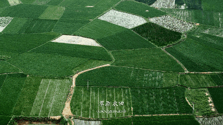 440_248gif 动态图 动图