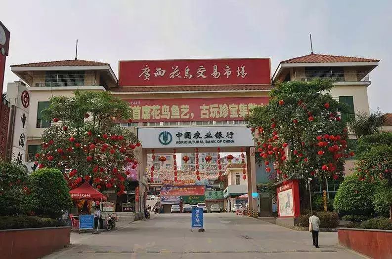 广西花鸟交易市场占地近90亩,总建筑面积达5