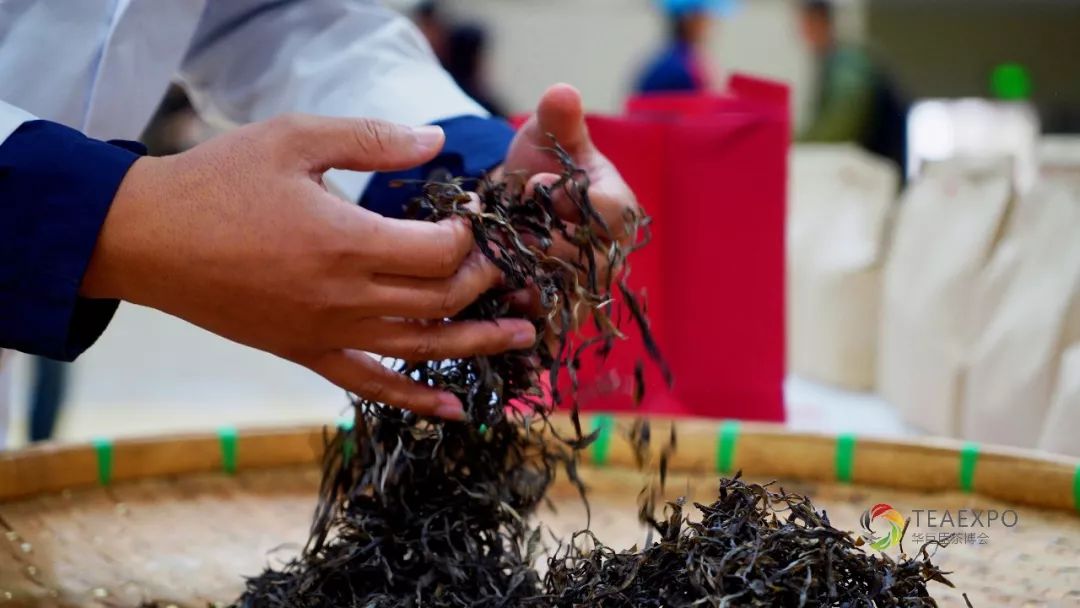 传承普洱茶匠心工艺品读勐海味拼配魅力首届勐海国际普洱茶拼配大赛