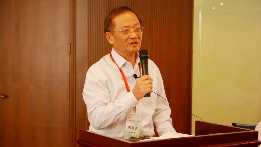 陈嘉明教授作开幕致词