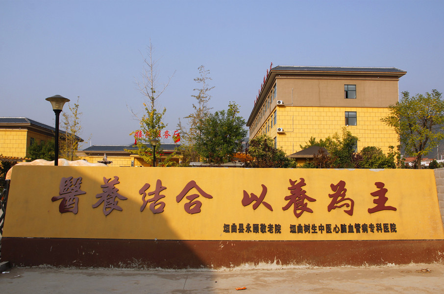 高血压中医治疗的最新趋势与应用