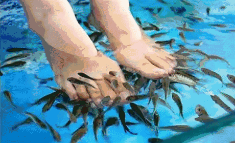 惊爆大冶首家鱼疗vr体验馆十一钜惠开业免费邀请你来放松放松