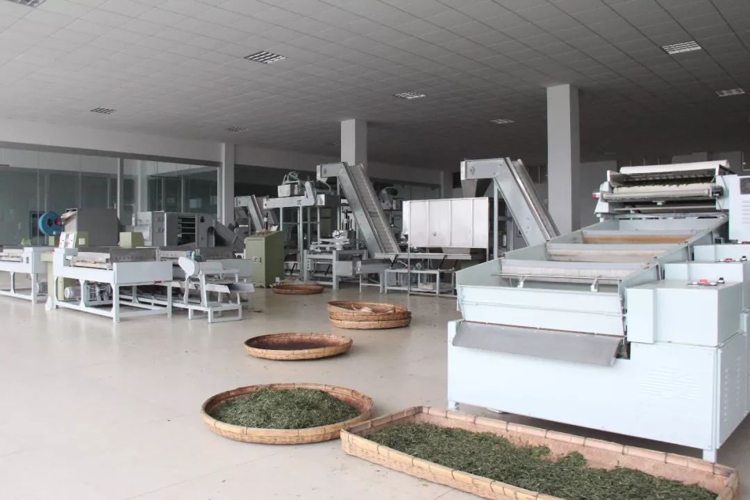 实现了鲜叶到成品茶叶不落地,融合传统技艺精细加工,标准化生产,形成