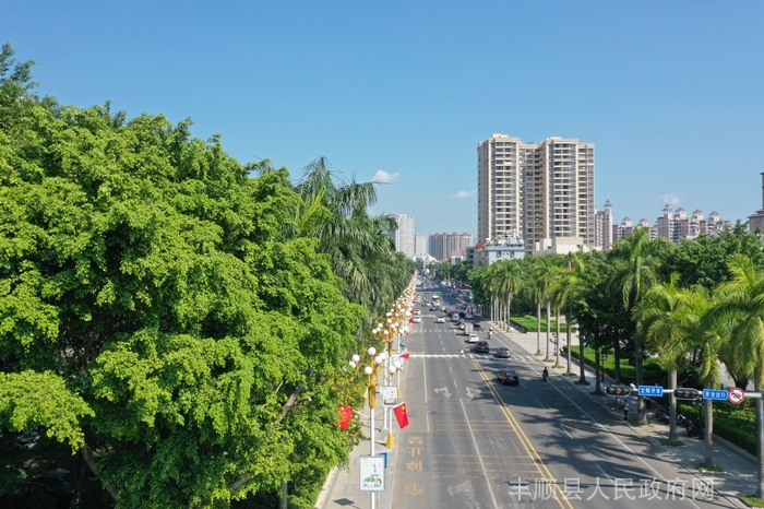 丰顺县城图片