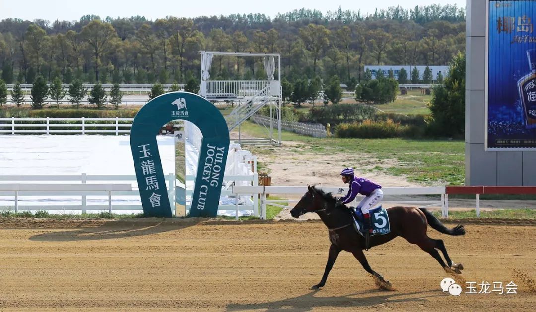 玉龙赛马2019玉龙国际赛马公开赛第18赛事日