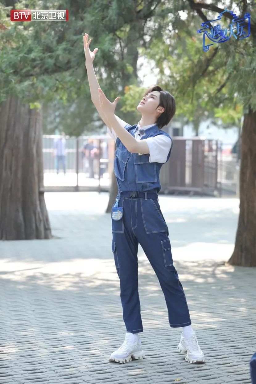 月季园推荐理由:节目中,苗苗携黄明昊复现"月季夫人"蒋恩钿女士与天坛