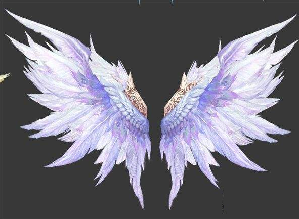 十二星座的翅膀 精灵图片