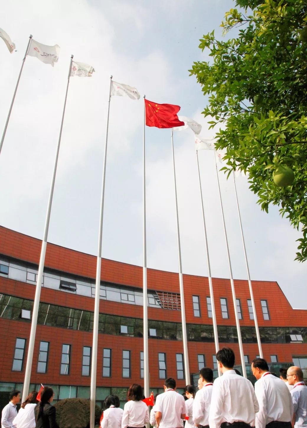 初心不改一如往攻坚克难再出发三胞集团隆重举行庆祝新中国成立70周年