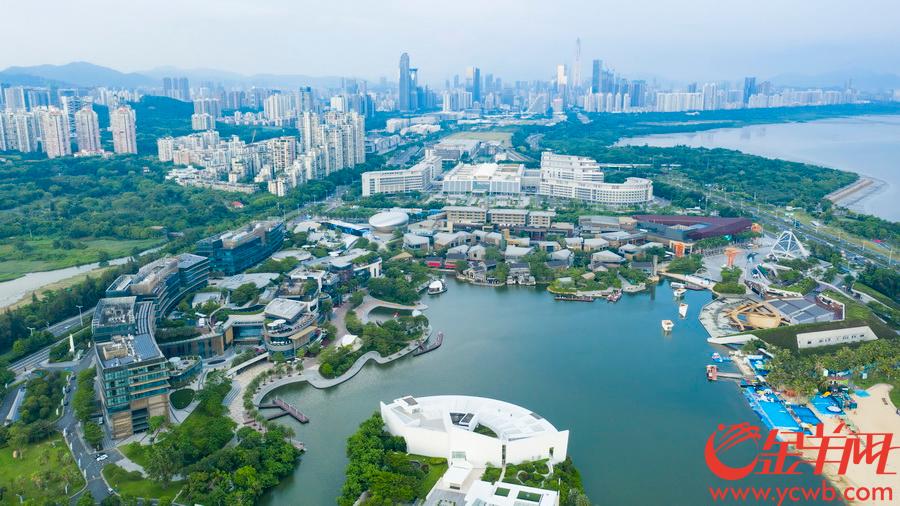 航拍广东之深圳大鹏一日同风起扶摇直上九万里